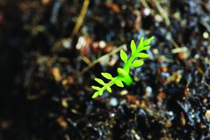 智能空调使用技巧：除湿与制热模式切换